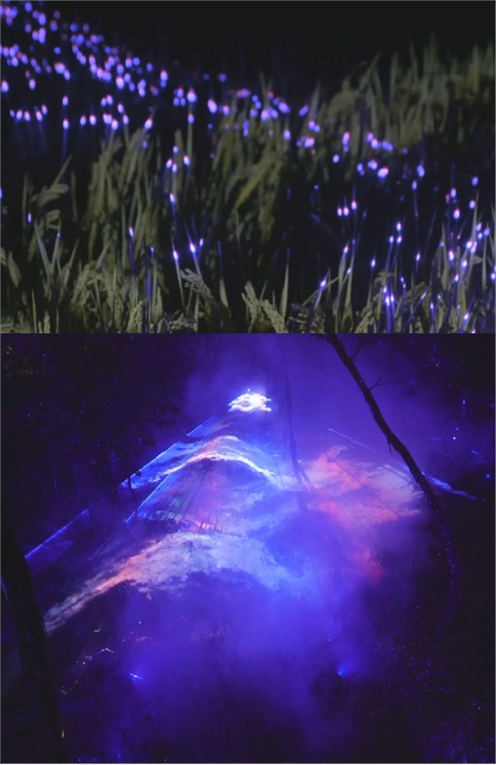 夜景亮化設計
